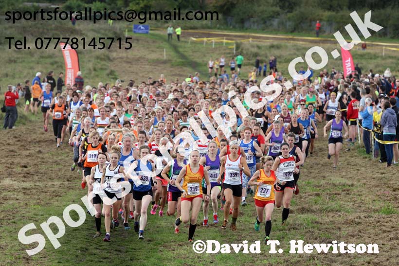 Senior womens Start Fitness North Eastern Harriers League, Wrekenton, Gateshead. Photo:  David T. Hewitson/Sports for All Pics